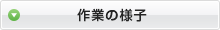 作業の様子