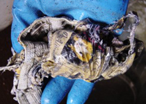 清掃時に発見された異物2