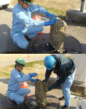 しさかごを清掃